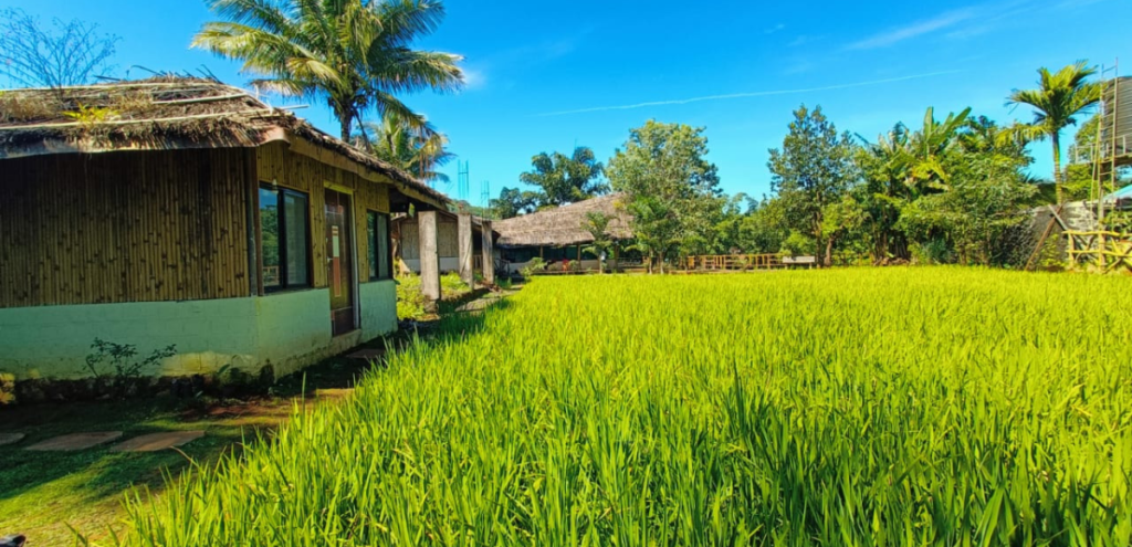 Anandvan Agro Tourism